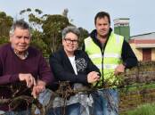 FAMILY: Doug Balnaves and his daughter Kirsty and son Pete have built a successful wine brand, Balnaves of Coonawarra, over the past 32 years.