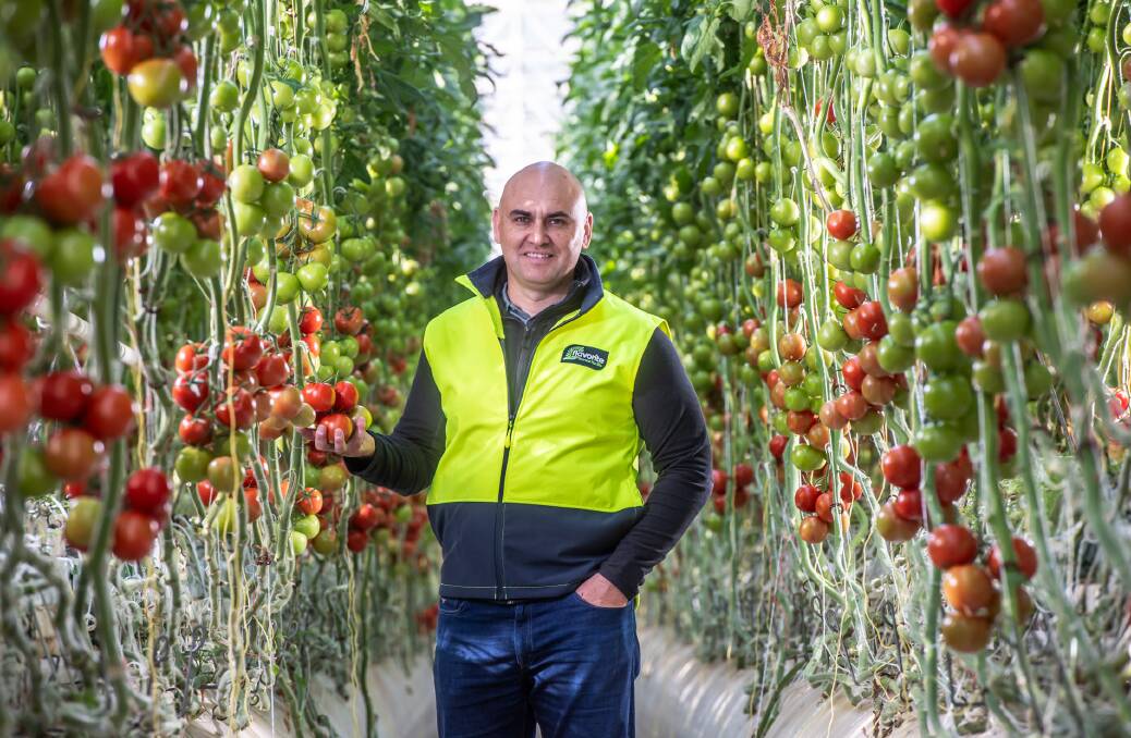 Victorian fruit and vegetable grower Sam Kisvarda, Flavorite, says the more selling channels the better. Picture supplied
