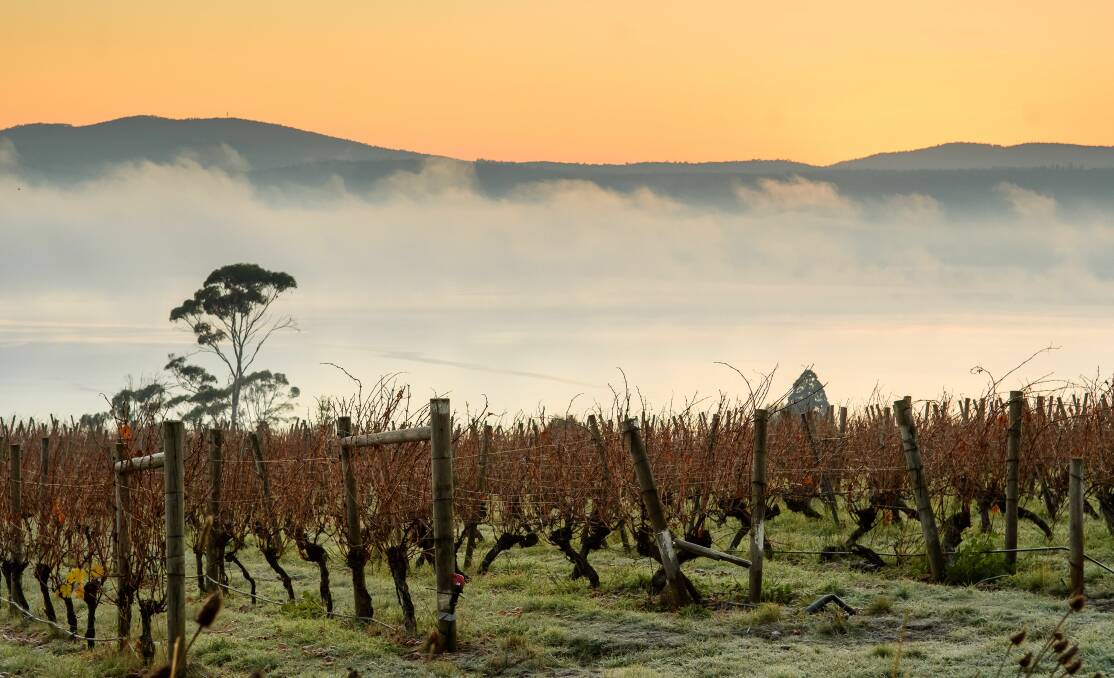 The growth in cellar door experiences in Tasmania is helping to attract tourists from mature markets in the US and Hong Kong. Picture: Scott Gelston