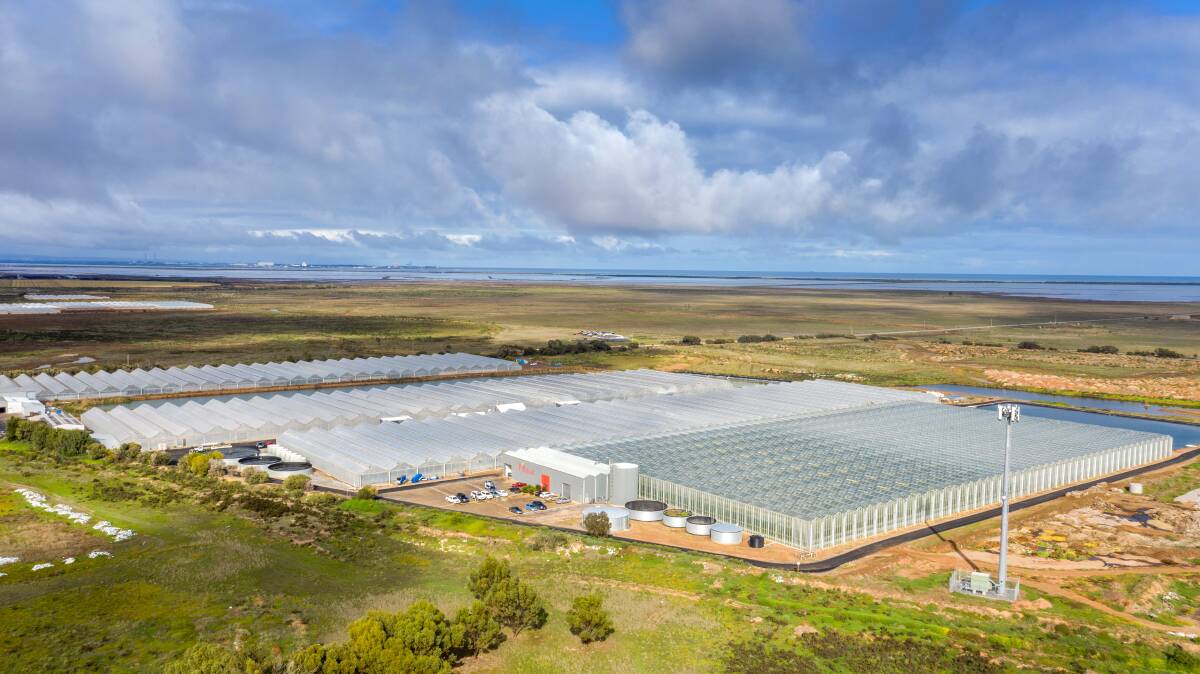 P'Petual Holdings' glasshouse development on the Adelaide Plains has sold to a big investment fund. Picture supplied