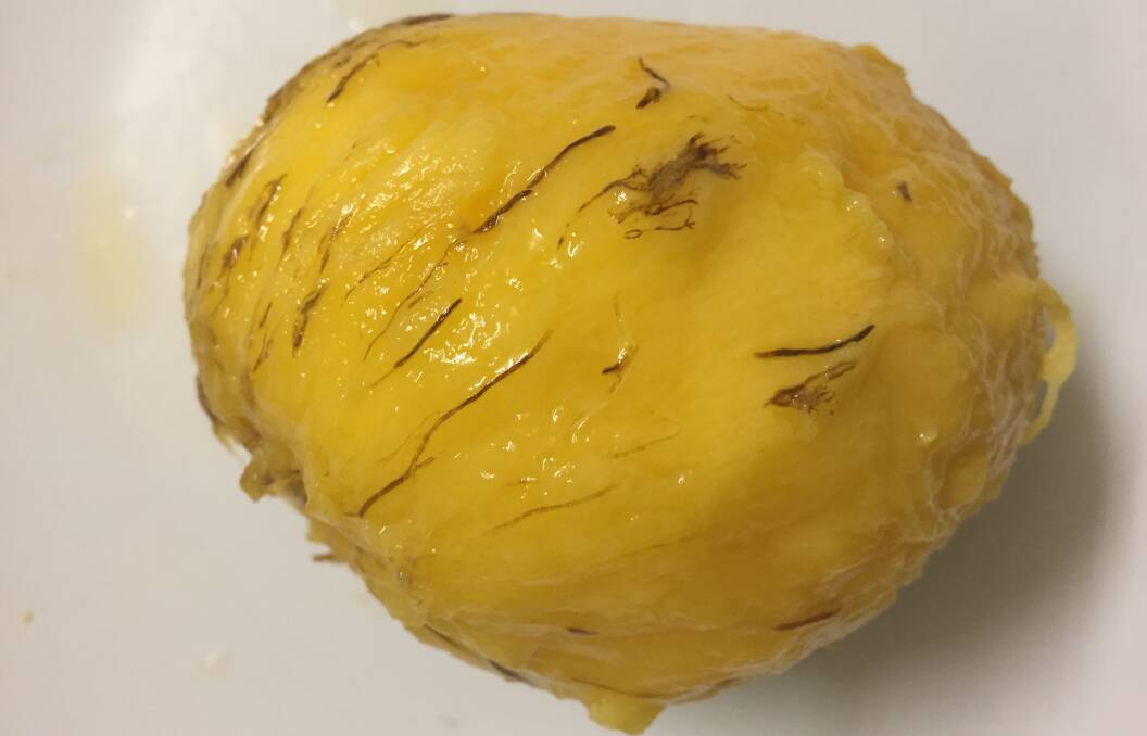 CULPRIT: A skinned mango showing the RCD disease within the flesh.