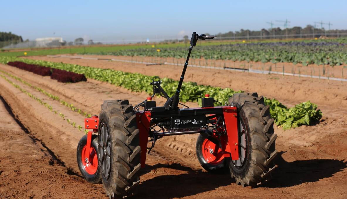 LITTLE BEAUTY: The Victorian government is the latest to invest in the autonomous farm robot. Picture: University of Sydney.