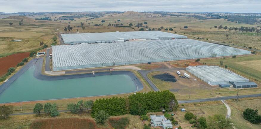 The Guyra glasshouse development in NSW.Picture supplied