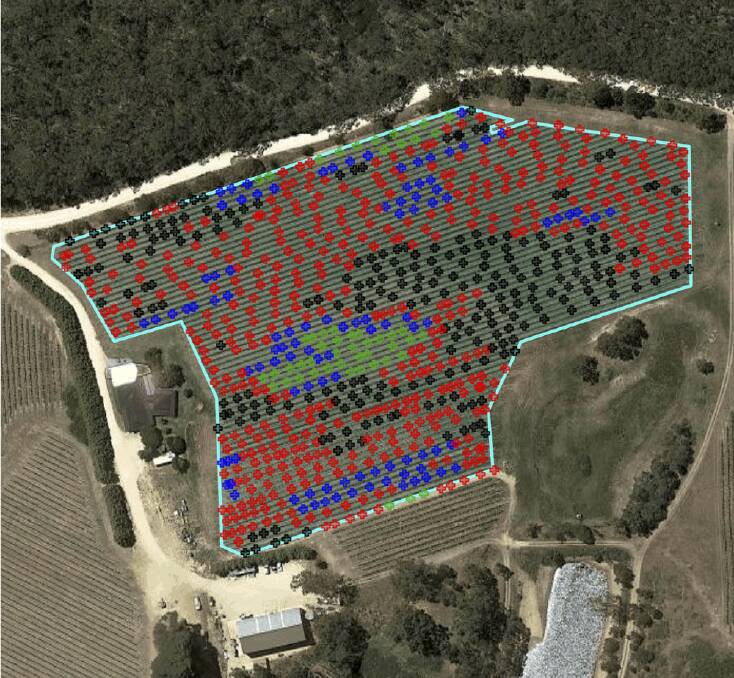 DATA: A GPS map showing canopy damage to individual vines on one of Charles Rosbacks Chardonnay blocks.