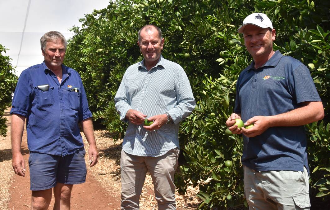 WORKERS NEEDED: Member for Chaffey Tim Whetstone (centre) chatting about labour with Lyrup fruit growers Matt and Sam Lloyd. 