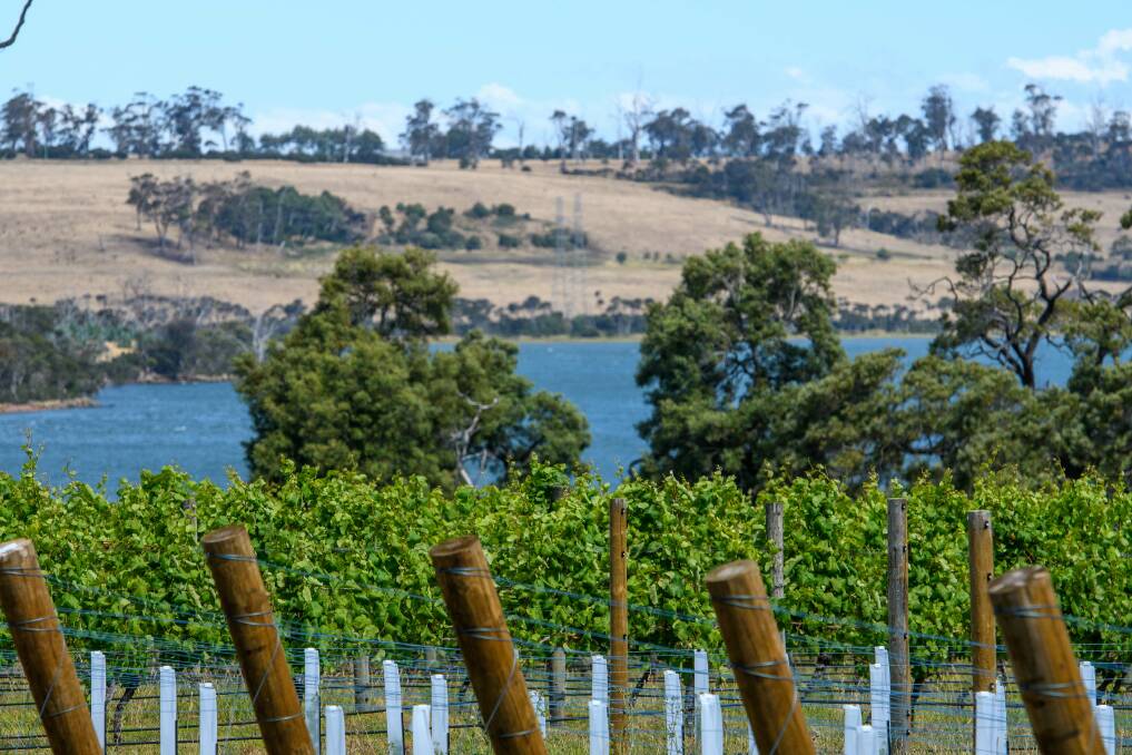 UTAS project forecasts century of climate change impact on country's vineyards