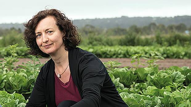 University of Melbourne Food Systems senior lecturer Rachel Carey says the fact two inquiries are taking place indicates the seriousness of the issue. Picture supplied 