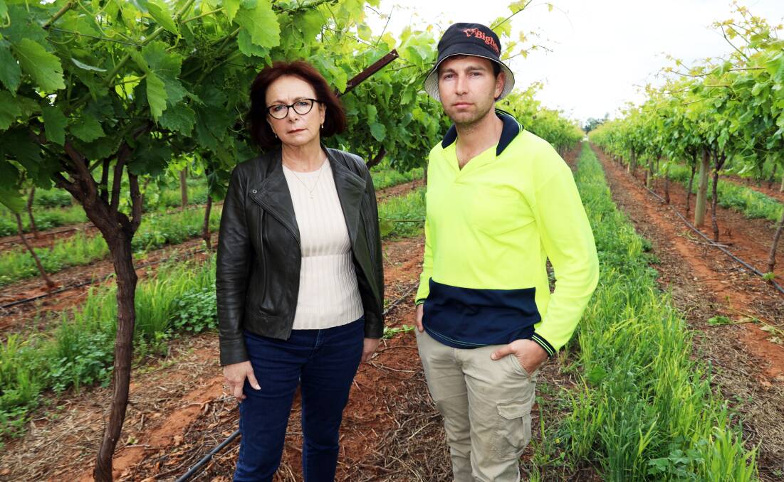 Nationals Mallee MP Dr Anne Webster with Sunraysia table grape grower Domenic Sergi, Red Cliffs. Both have condemned potential water buybacks. Picture supplied