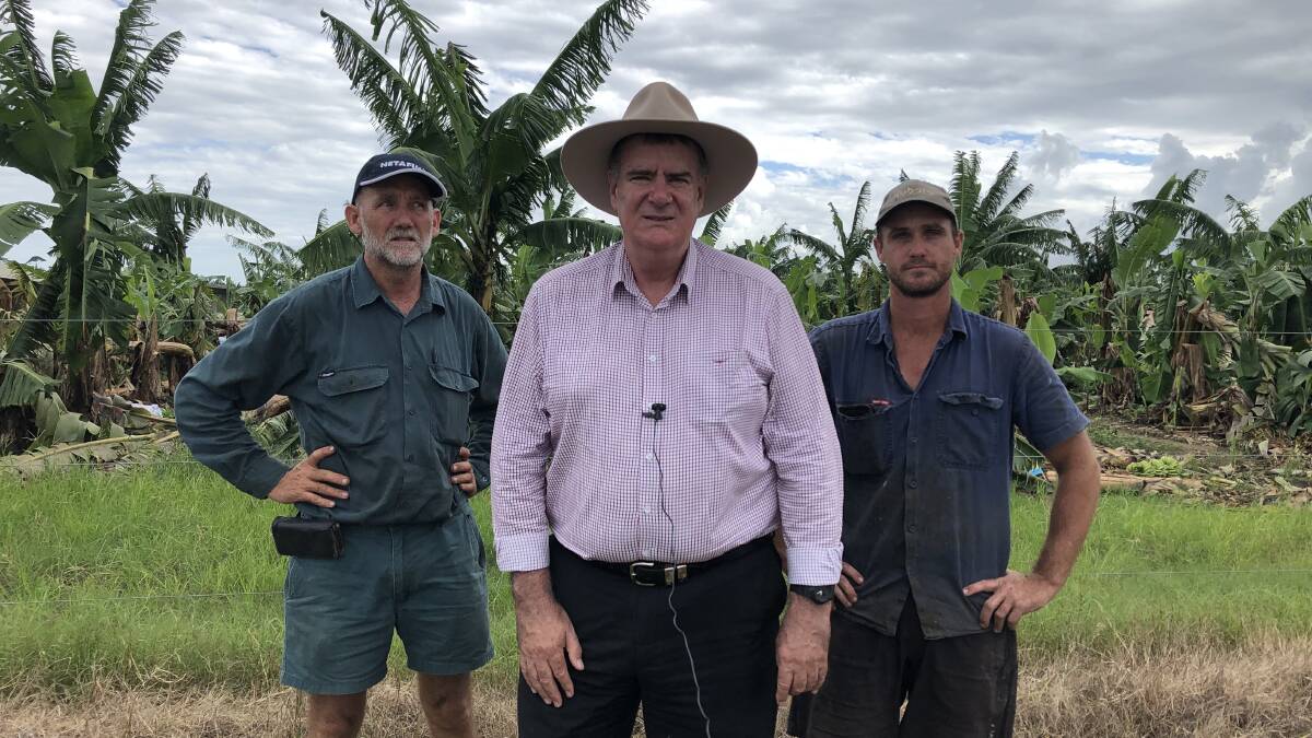 IMPACT: Australian Banana Growers Council chairman Stephen Lowe and Innisfail banana farmer Stephen Wells flank Agriculture Minister Mark Furner during his weekend visit to inspect the damage caused by Cyclone Niran.