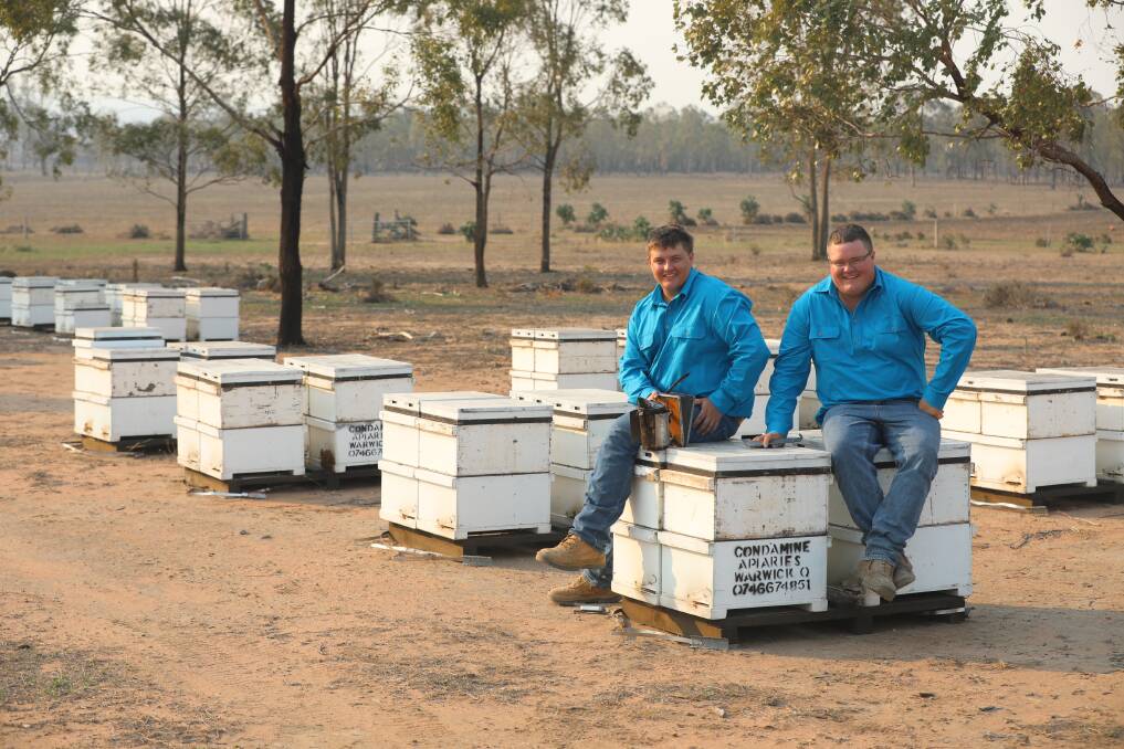 NEED: Wheatvale's Connor and Jacob Stevens are among the state's beekeepers struggling to keep their hives viable in the wake of drought and bushfires. Pictures supplied.