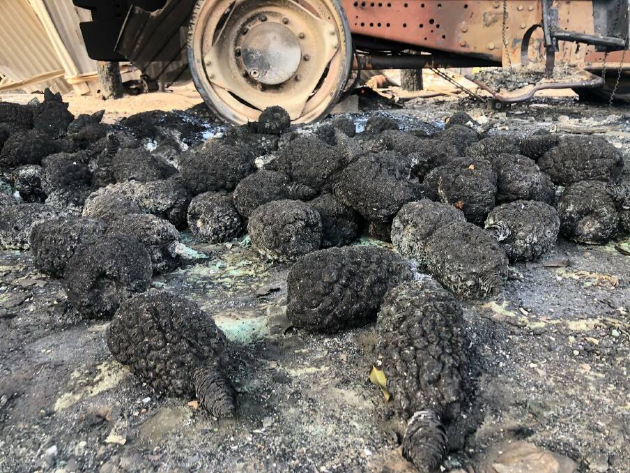 CHARRED: Fire has destroyed more than 100,000 pineapples at the Brooks and Sons farm at Bungundarra, near Yeppoon.
