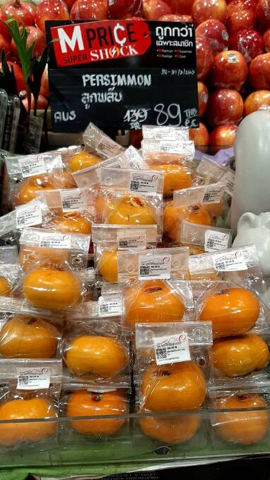 APPEALING: Australian sweet persimmons exported to Thailand under the new protocol were well received by supermarkets. Photo: Persimmons Australia