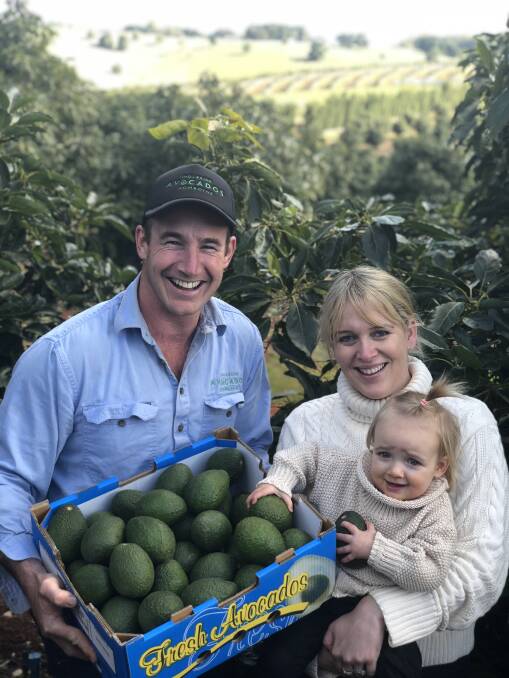 HEALTHY: Nathan Bell from Ingleside Avocados on the Comboyne Plateau with his wife Grace and daughter Tallulah. 