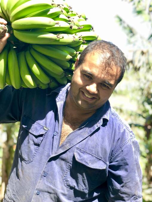 LOADED: Coffs Harbour banana grower Paul Shoker says NSW is beating Queensland at their own game with a local focus. Photo: Samantha Townsend