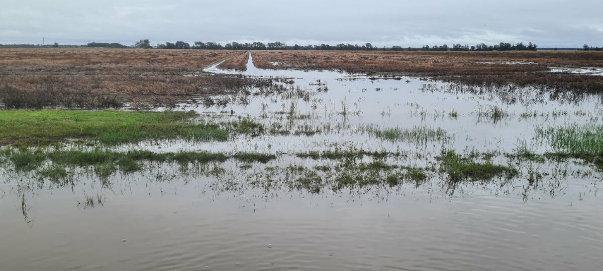 DAMAGE: The impacts of recent flood events captured by Western Downs grower Brendan Taylor on his property in May. Picture: Brendan Taylor 
