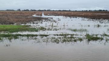 DAMAGE: The impacts of recent flood events captured by Western Downs grower Brendan Taylor on his property in May. Picture: Brendan Taylor 