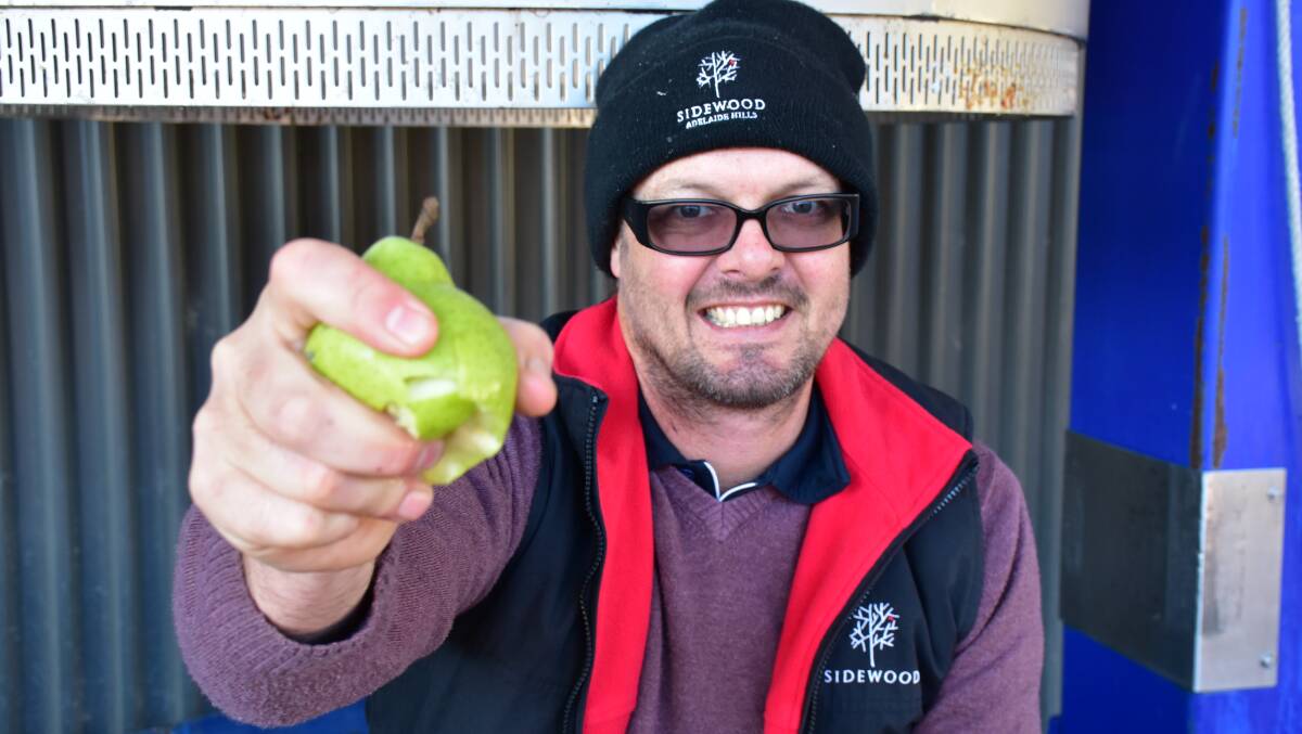 Williamstown cidermaker Michael Redman has 'crushed' the opposition in the World Cider Awards. Photo: Carla Wiese-Smith.