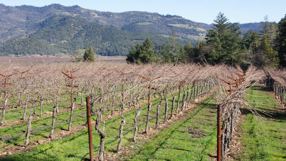 Wine Equalisation Tax Producer Rebate