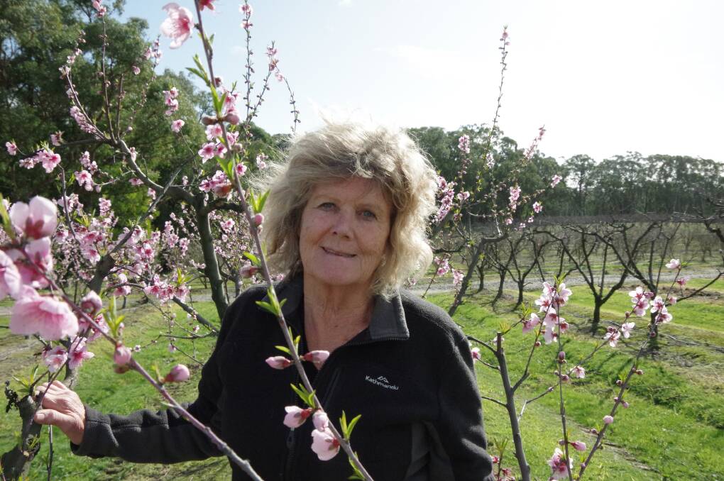 BENEFITS: The Melbourne University's Dr Linda Thomson was able to quantify the benefits of predator insects to orchardists and fruit and vegetable crop growers at a recent workshop.