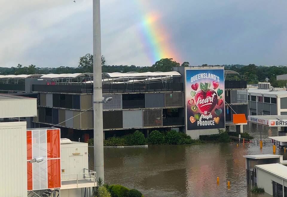 RAY OF HOPE: A rainbow over the flooded Brisbane Produce Markets gives a heartening sign as the facility attempts to resume trading tomorrow morning. Picture: Brisbane Markets Limited.