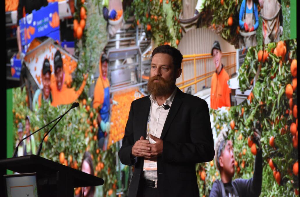 DELAY: Citrus Australia CEO Nathan Hancock says growers should put the ag visa to the back of their minds in regards to getting labour for this season. 