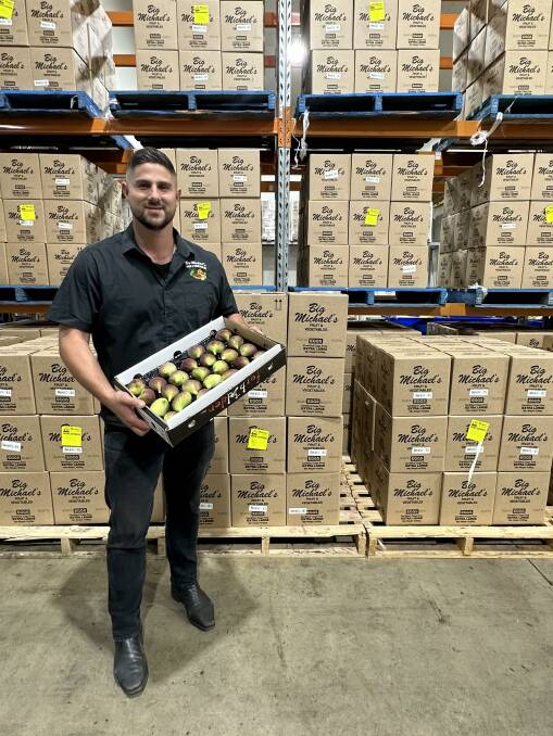 Peter Marinos shows off some fresh figs within one of the business's storage areas. Picture supplied