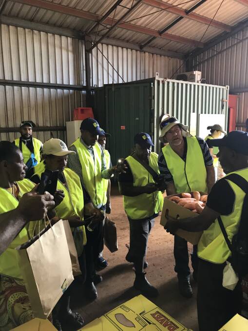 PACKING: The PNG growers take in a packing shed operation while visiting the Bundaberg region. 