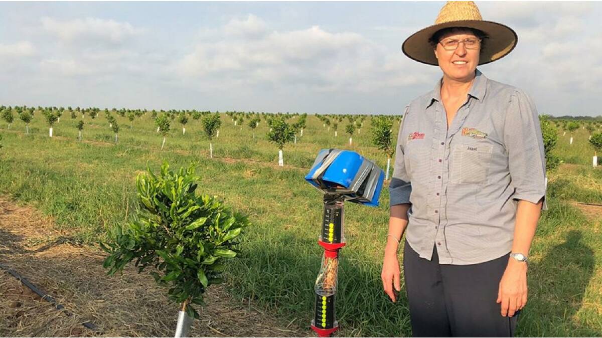 GROWING: Janet Anderson, Farnsfield, Qld with her newly established Jubilee Macadamias operation which was assisted with funding through the government grant. 