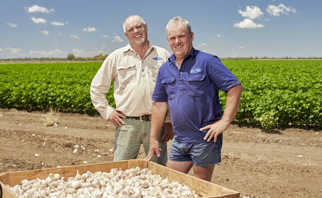 UNITED: 2021 Grower of the Year winners, David and Andrew Moon from Moonrocks, St George, Qld.