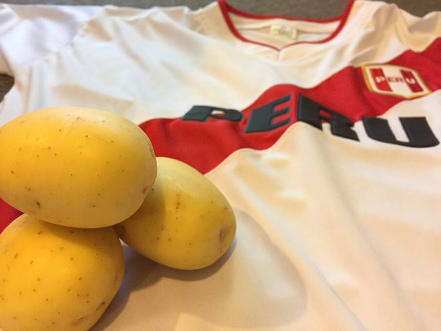 PRIDE: As a soccer (football) loving country, the suggestion Peru should name its national team for the 2018 World Cup, the Peru Potatoes, is not well received. 