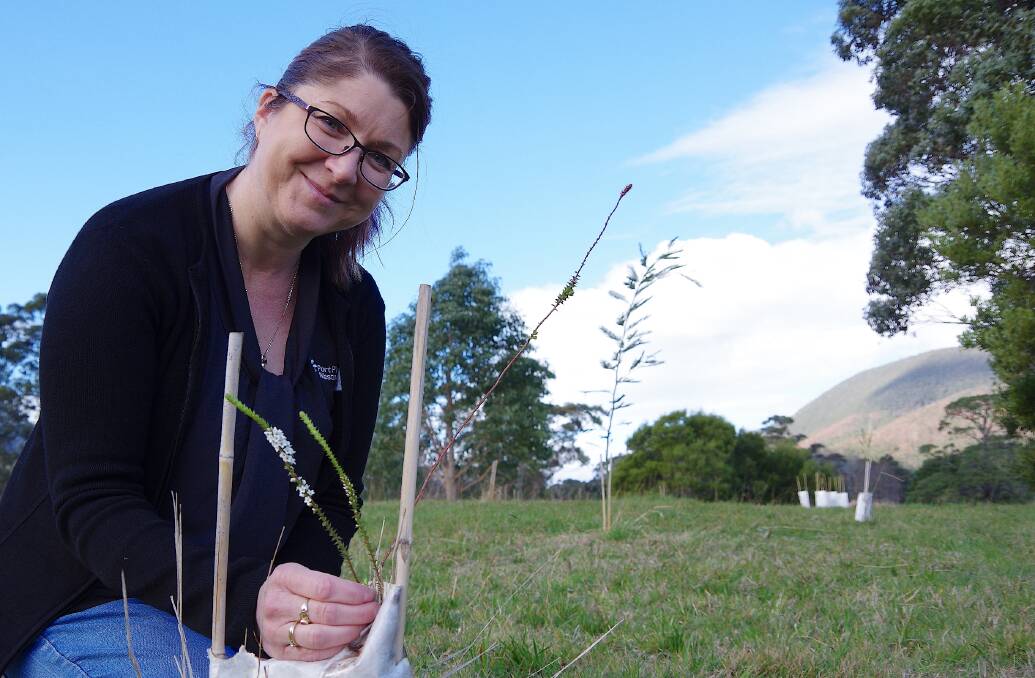 VISIBLE: The Port Philip and Westernport Catchment Management Authority's Karen Thomas says it only takes a few weeks to see beneficial insects among flowering plants in a native vegetation insectary. This was a benefit in integrated pest management systems on farms. 