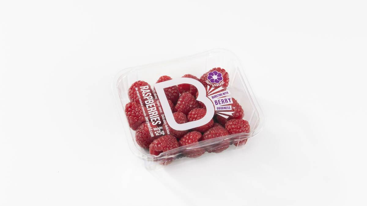 RETAIL: BerryWorld raspberries are available in heat-sealed punnets at selected Woolworths stores.