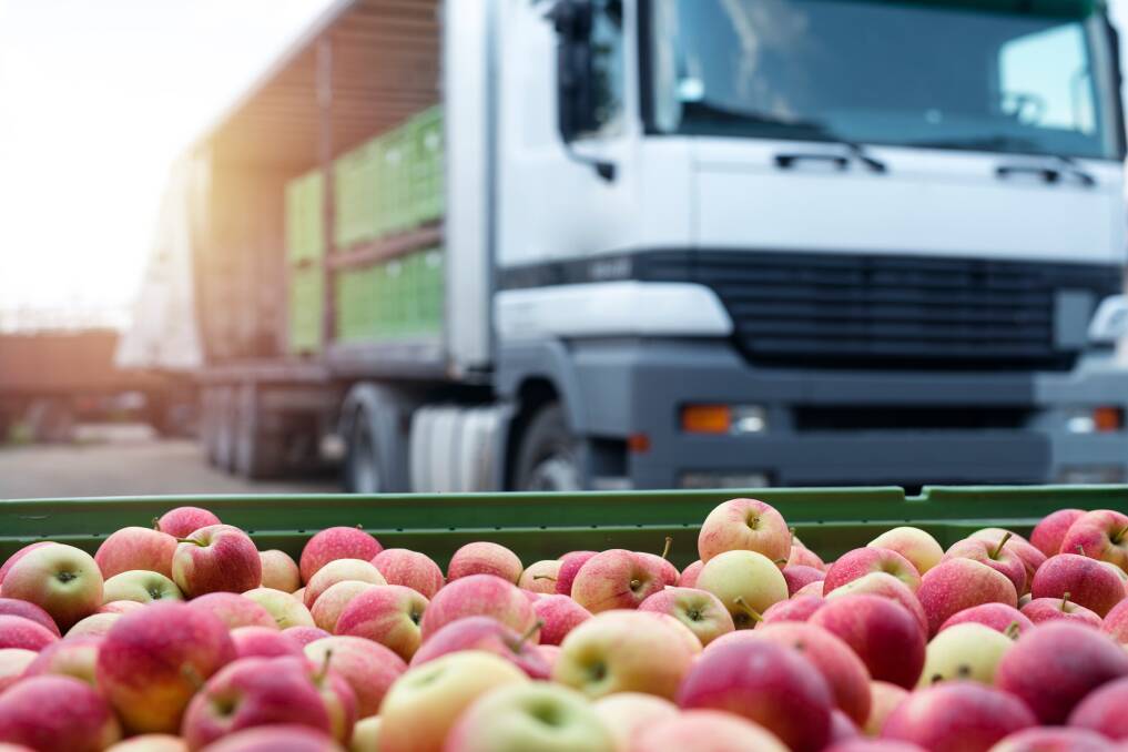 ABARES' Agricultural Commodities Report for the March quarter 2023 has indicated freight and fuel remain high cost inputs to an otherwise surging horticulture industry. Picture Shutterstock