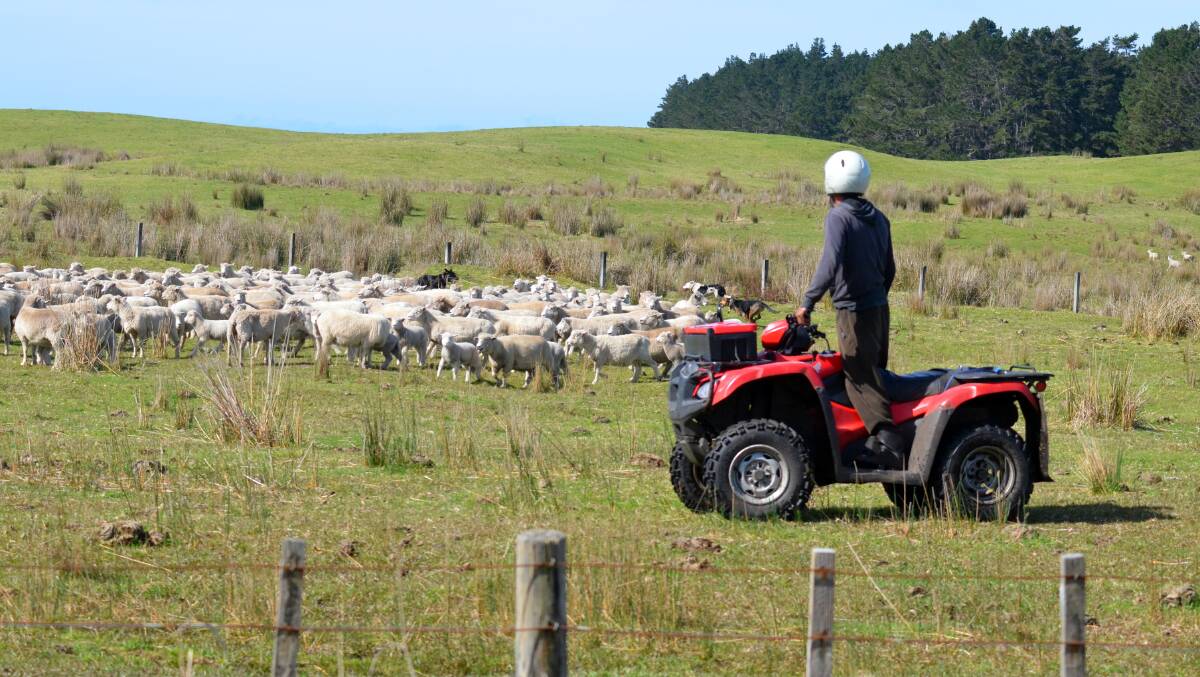 LOCKED: The quad bike safety stalemate rolls on between farming groups, bike manufacturers and the federal government.