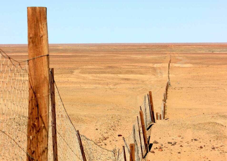 BARRIER: The rabbit proof fence which stretches along Western Australia's border is an example of forthright biosecurity. Photo: Shutterstock