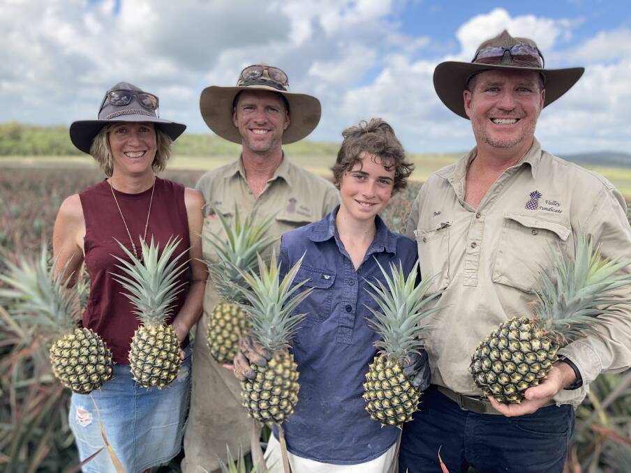 DISCUSSION: Pineapple growers Michelle, Ben and Bob Clifton and John Cranny, The Syndicate, Bungundarra are embracing the audit process. 