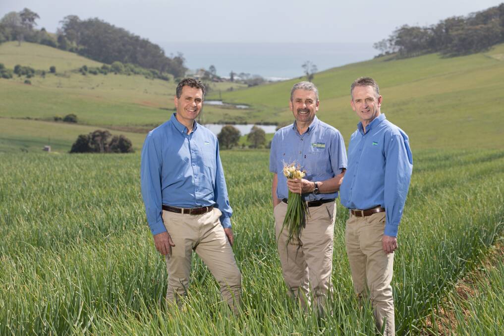 FUTURE: Onion growers Jim Ertler, Mike Ertler and Rick Ertler, Premium Fresh, Tasmania are keen to explore more export markets, hopefully helped by the new Onion Industry Export Strategy. 