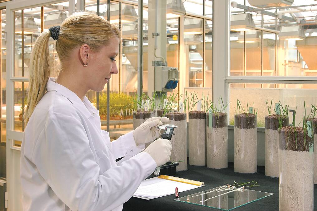 RESEARCH: Bayer's new Testing4Ag program will see scientists able to submit new modes of action for further analysis and testing. 