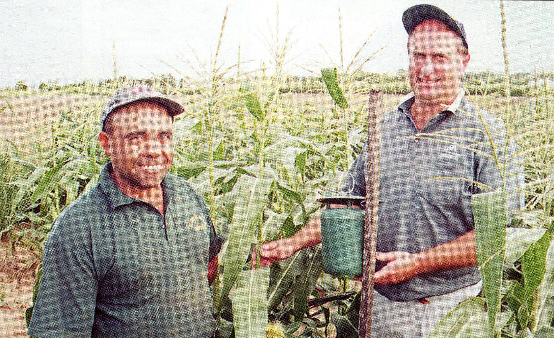 INSPECTION: Sweet corn grower, Mario Muscat with NSW Agriculture horticulturist, Leigh James in 2000.