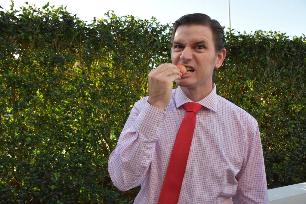 CHOMP: Article author Ashley Walmsley sinks his teeth into a Pink strawberry to assess the flavour on his less-than-professional palate. 