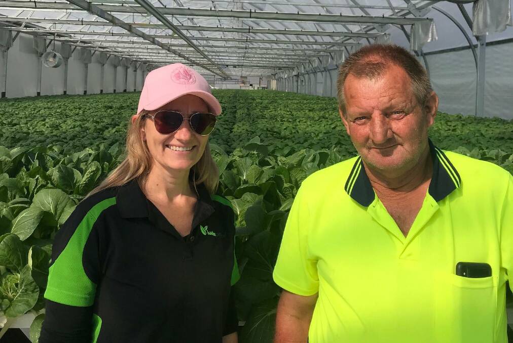 NEW: Lesley Schimke, herb category manager and Russell Neumann, production manager, inside the newly established Redpath Greenhouse at Gatton.
