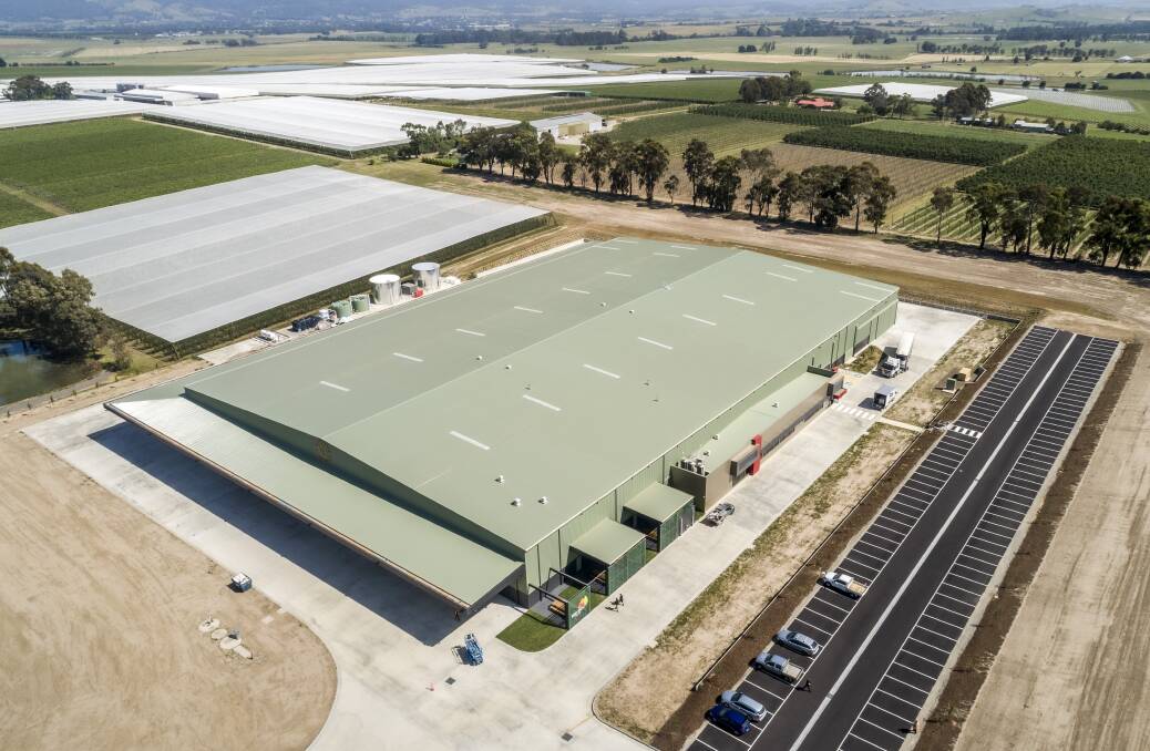 SCALE: The 80m x 128m clear span packing shed for Red Rich Fruits in the Yarra Valley, Victoria. 