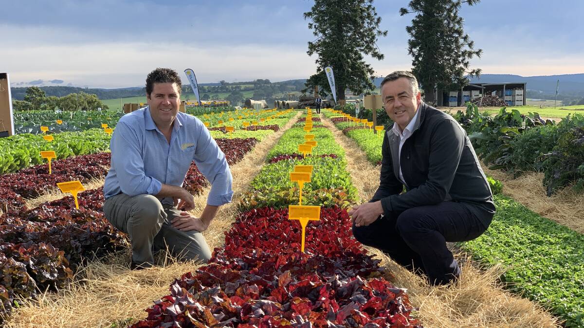 INTEREST: EGVID director and vegetable grower, Andrew Bulmer with Member for Gippsland, Darren Chester, inspecting some crops during the field days. 