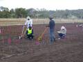 DATA: The research team trialling different hand weeding tools for their effectiveness at UNE's Laureldale Farm.