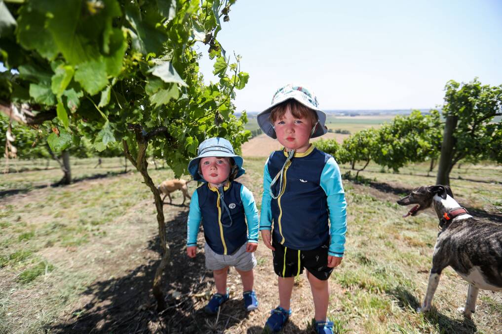 GROWING: Wren Wurlod, 1, and Archer Wurlod, 3, play in the family vineyard. Photo: Morgan Hancock