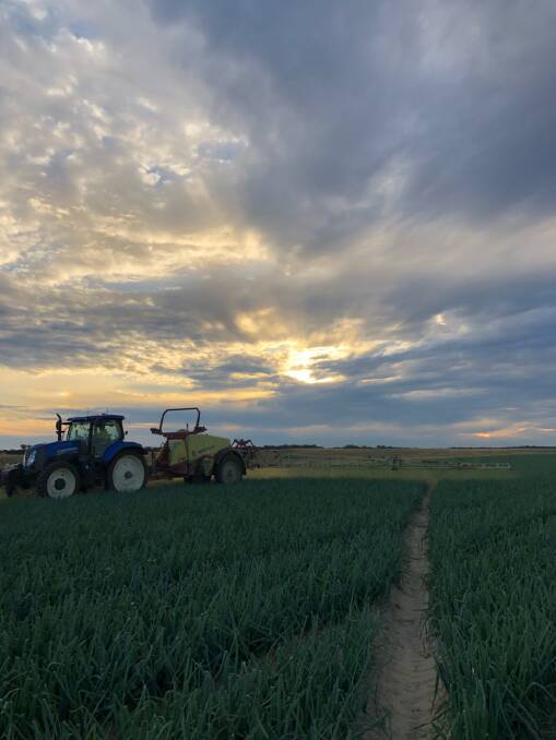 TOP PIC: The winning entry from onion grower, Darren Rathjen, which he captioned: "Spraying Zorvec Enicade in the calm before the storm". 