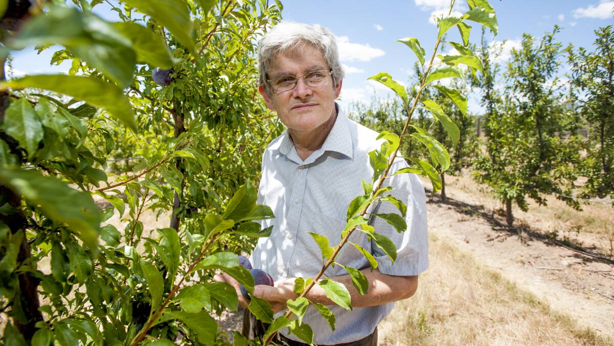 RESEARCH: Professor Lindsay Brown of the University of Southern Queensland. Image courtesy of USQ.