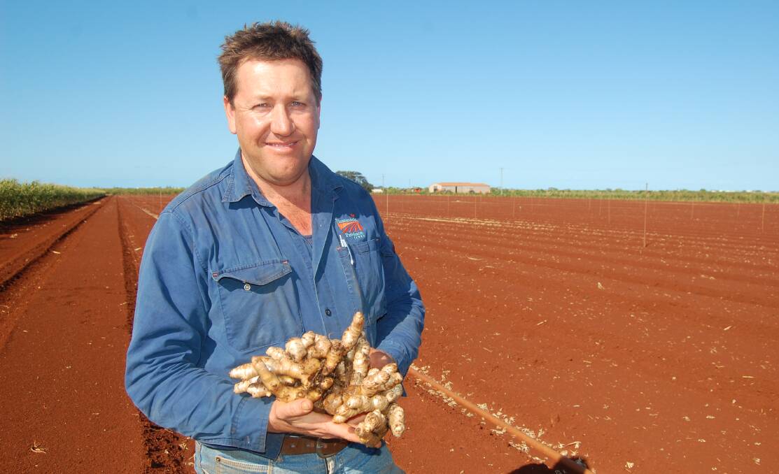 GOOD DIRT: Anthony Rehbein with some of his raw ginger which derives its highly regarded flavour from the rich, red volcanic soil of the Bundaberg region.