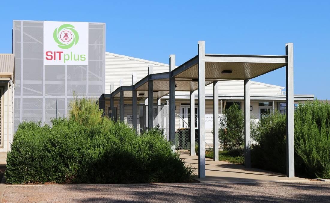 FUTURE: The National Sterile Insect Technology Facility at Port Augusta, SA, which has been granted extra funding to continue its work. 