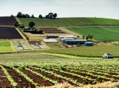 UPGRADE: The Tasmanian Institute of Agriculture's Vegetable Research Facility at Forthside is the process of being upgraded with investment from the University of Tasmania and the State Government. 